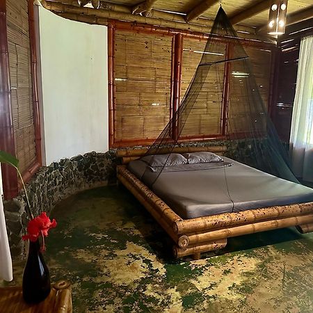 Eco-Lodge Deseo Bamboo 산타 카탈리나 외부 사진