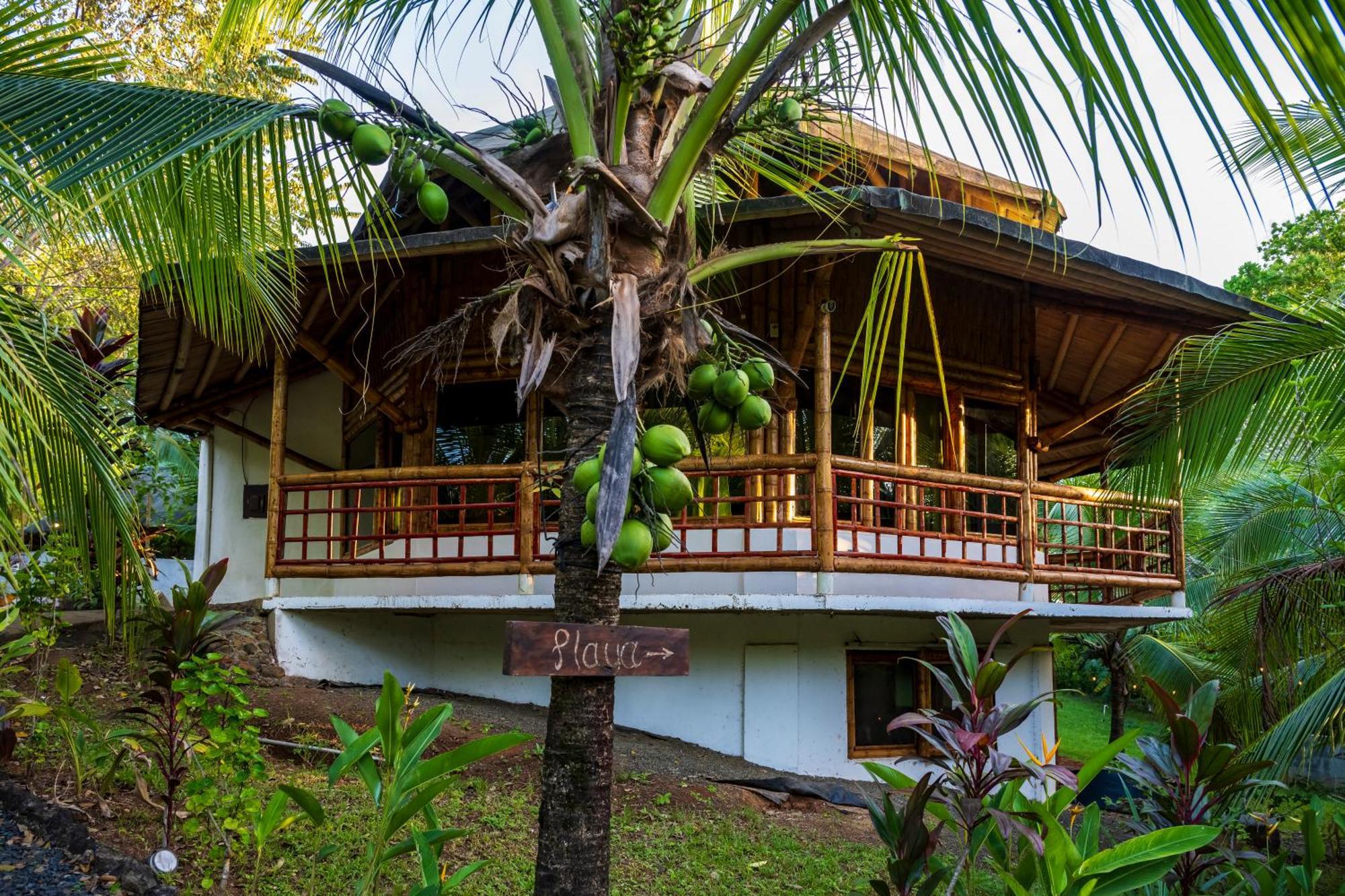 Eco-Lodge Deseo Bamboo 산타 카탈리나 외부 사진