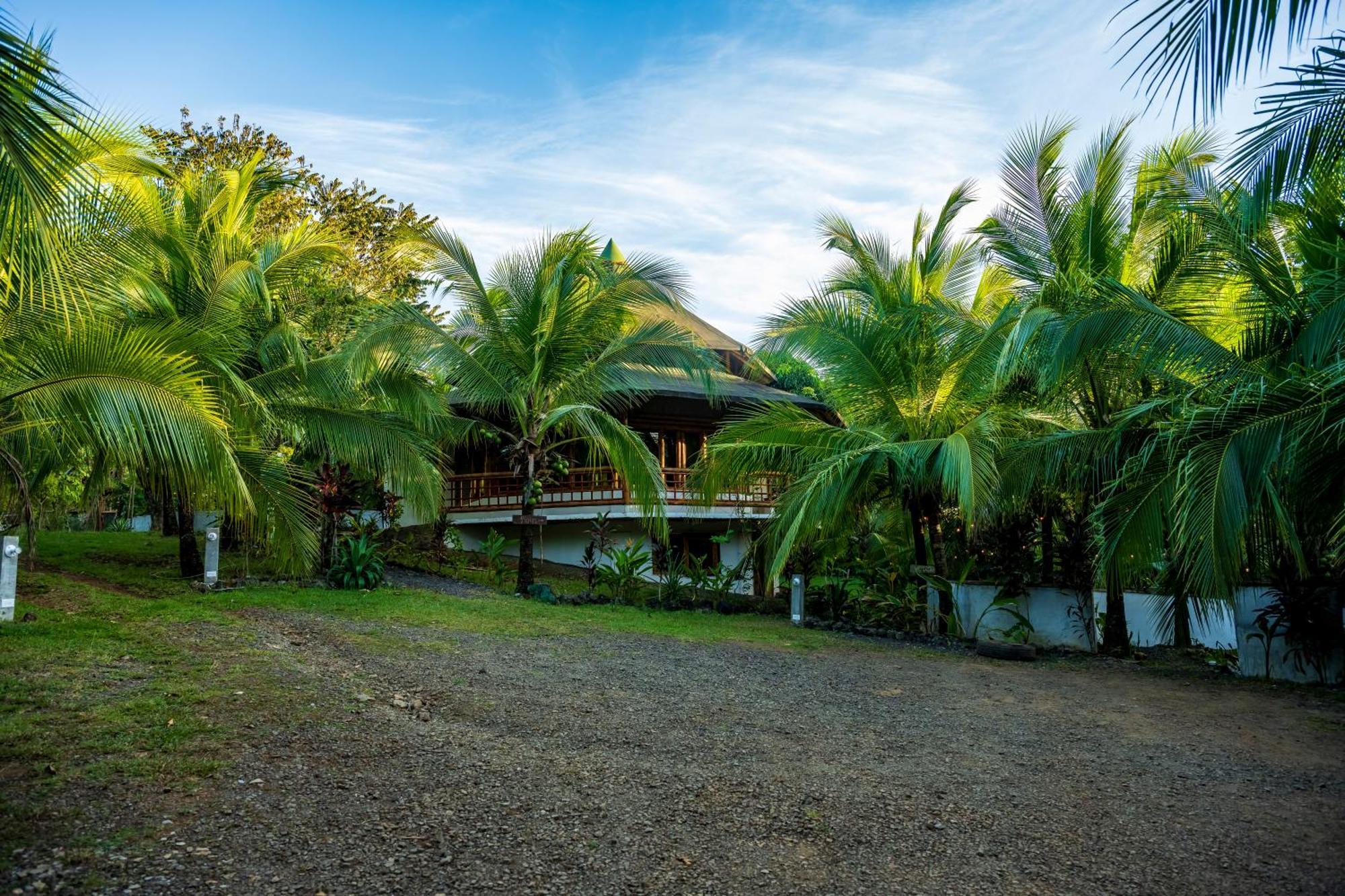 Eco-Lodge Deseo Bamboo 산타 카탈리나 외부 사진
