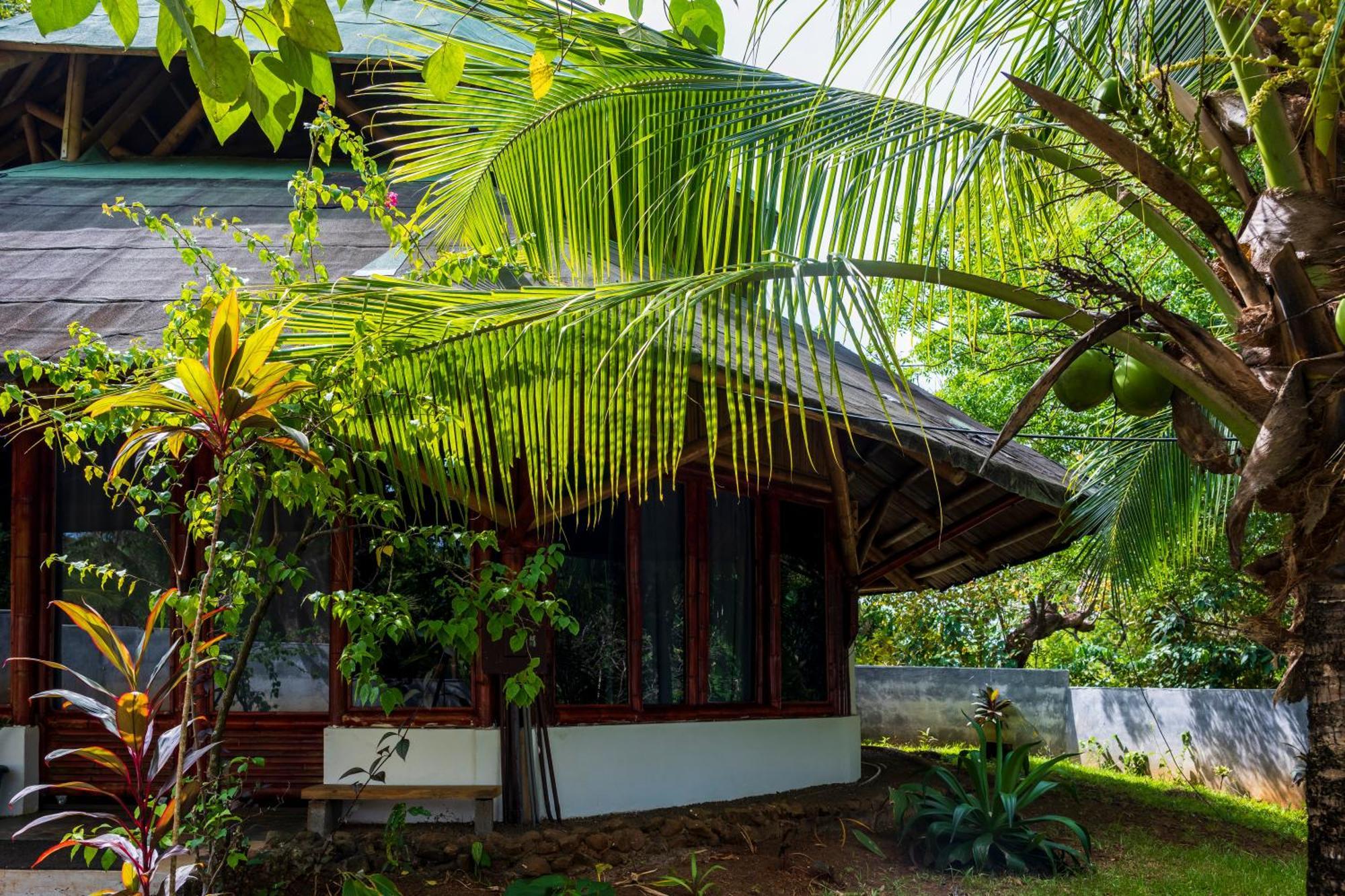Eco-Lodge Deseo Bamboo 산타 카탈리나 외부 사진