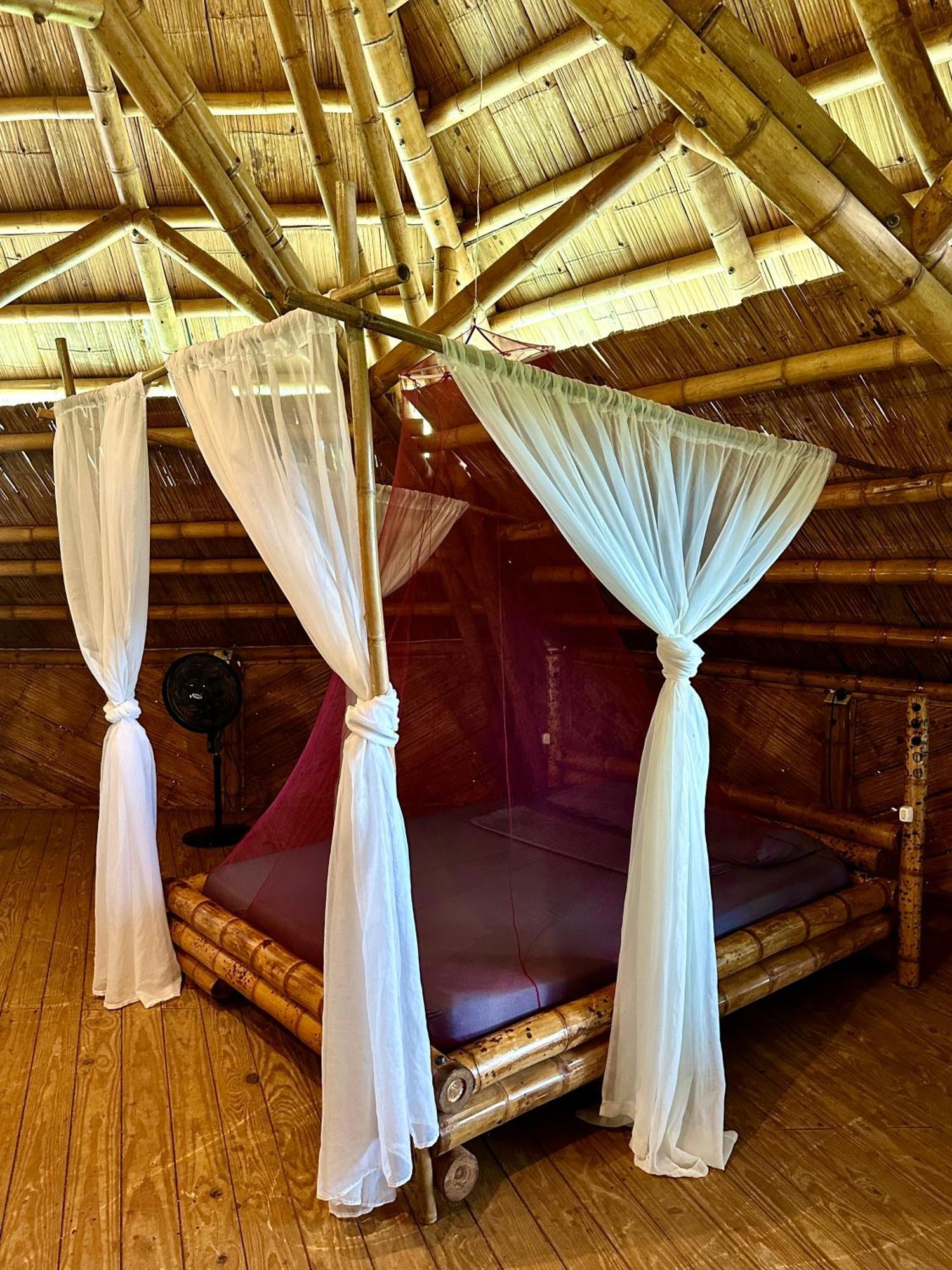 Eco-Lodge Deseo Bamboo 산타 카탈리나 외부 사진