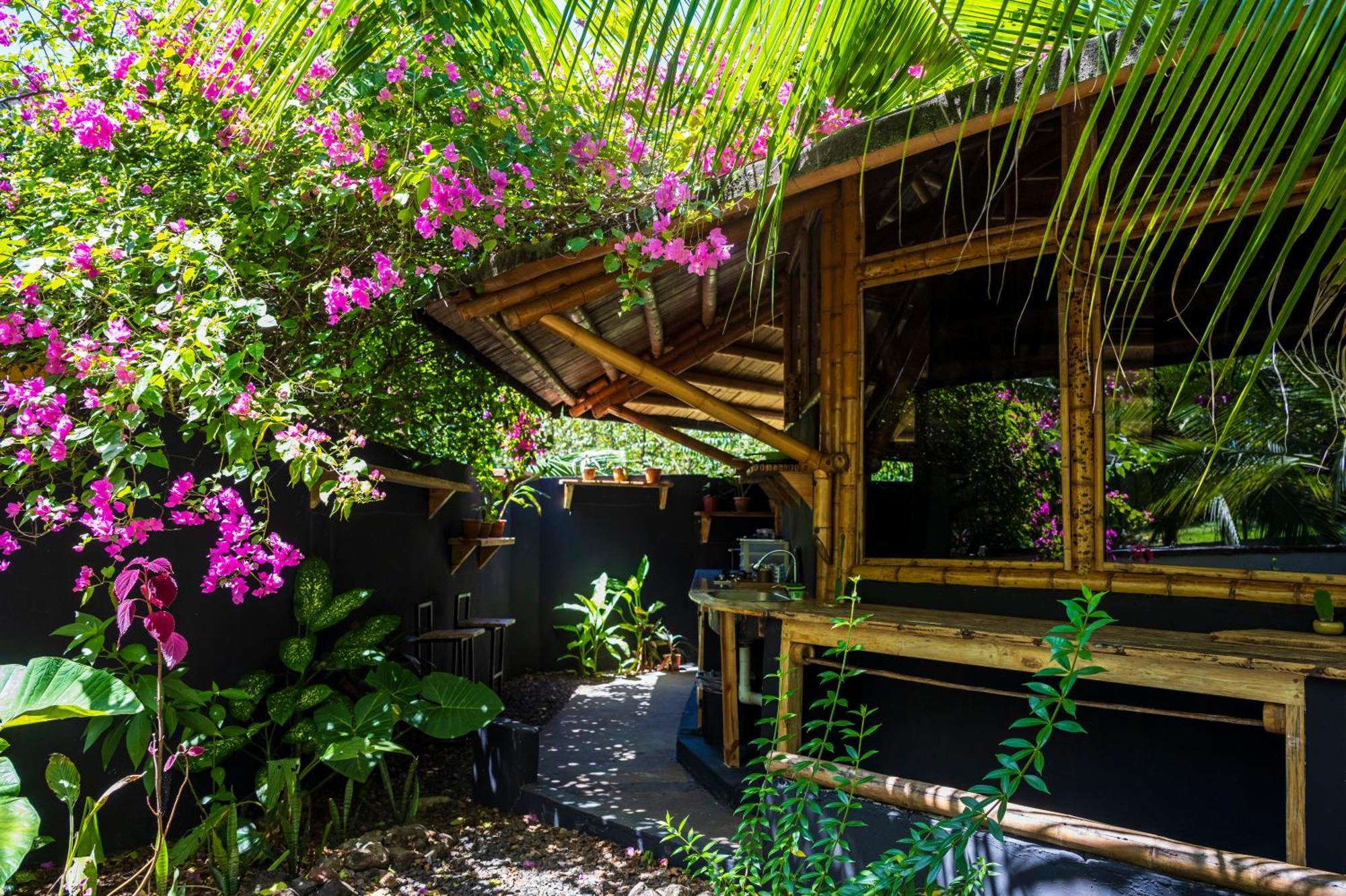 Eco-Lodge Deseo Bamboo 산타 카탈리나 외부 사진